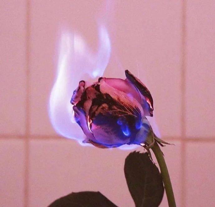 
晚放心情说说短句：给你多次偷偷点开头像的谁人人说一句话吧-b体育(图28)