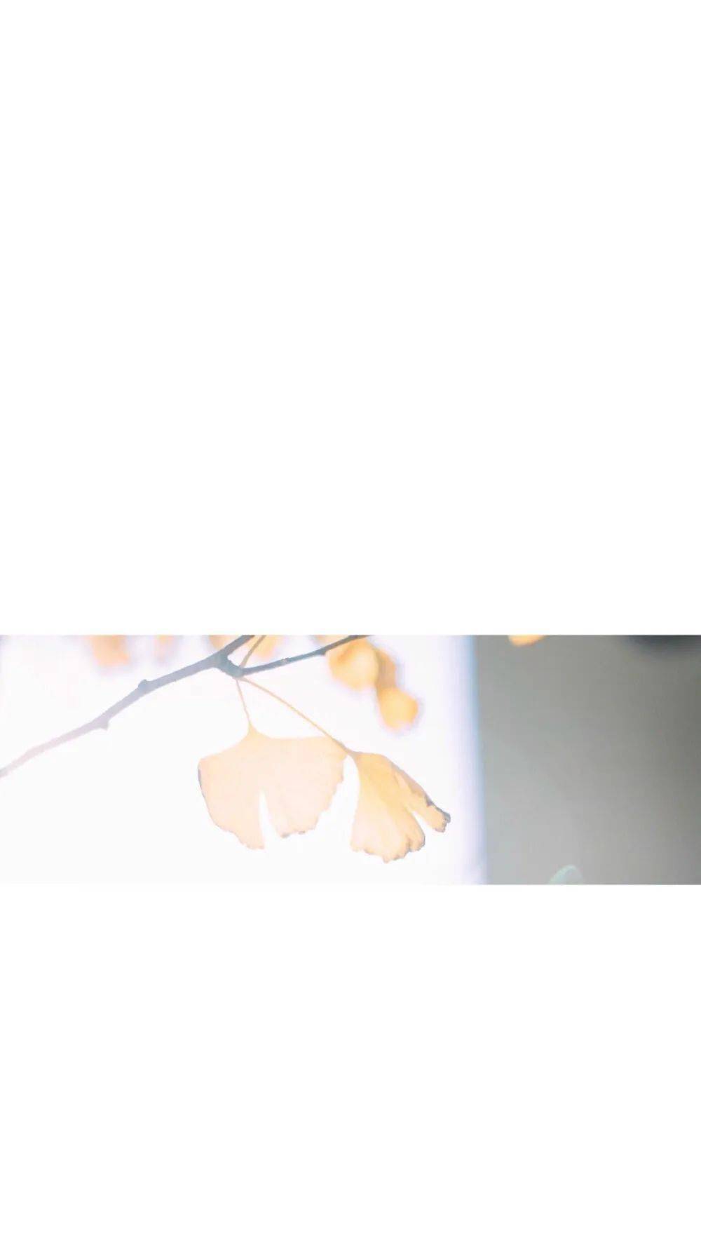 
黑白气势派头壁纸来一波~|必一(图40)